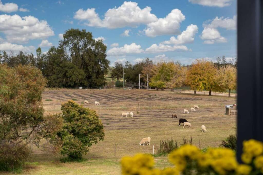 Heart Of Canowindra - Heritage Escape With A View Villa Exterior photo